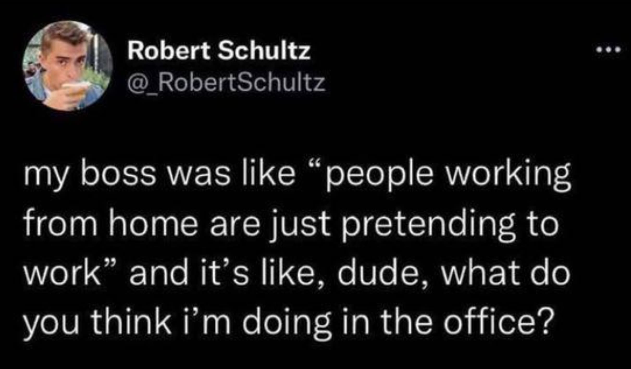 screenshot - Robert Schultz my boss was "people working from home are just pretending to work" and it's , dude, what do you think i'm doing in the office?